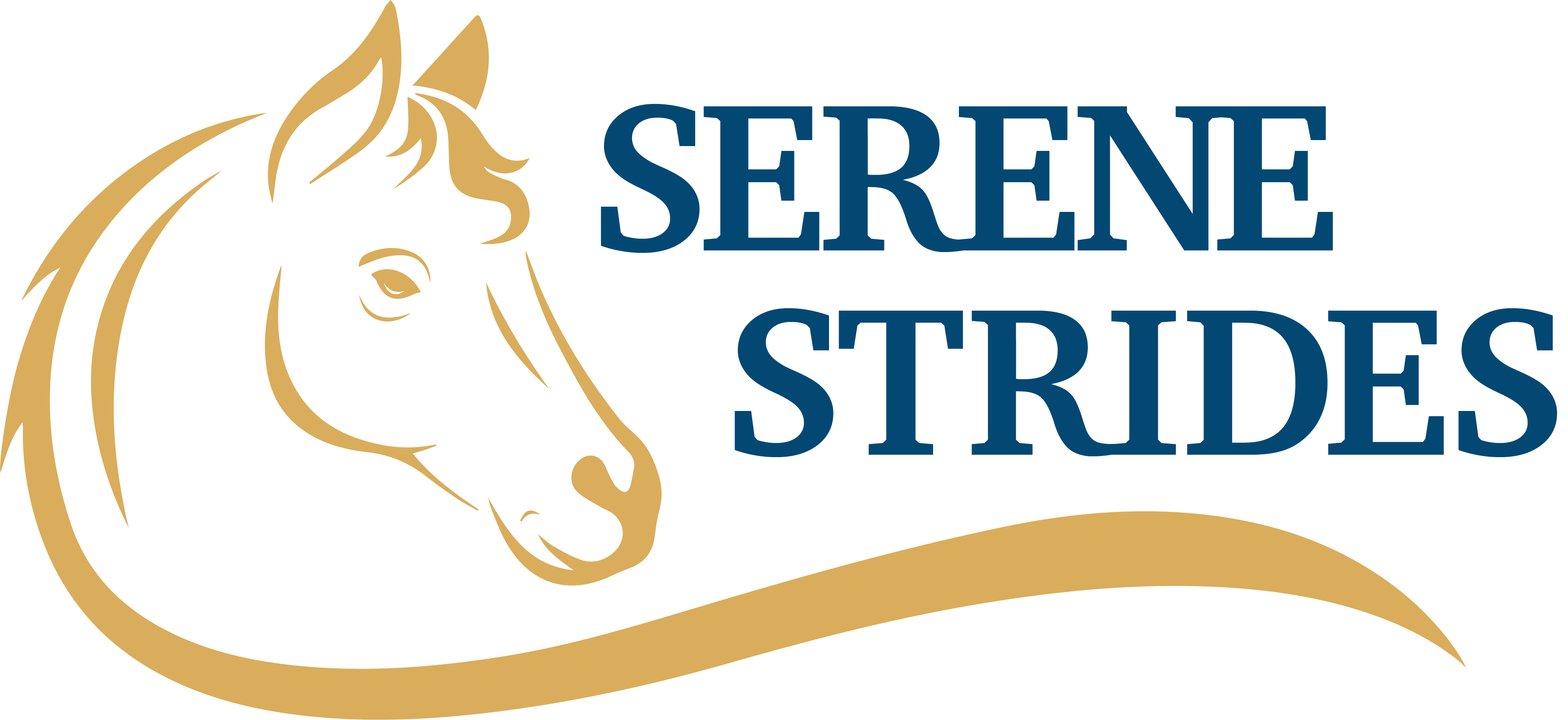 Serene Strides – Equine Assisted Services for Wellness and Connection